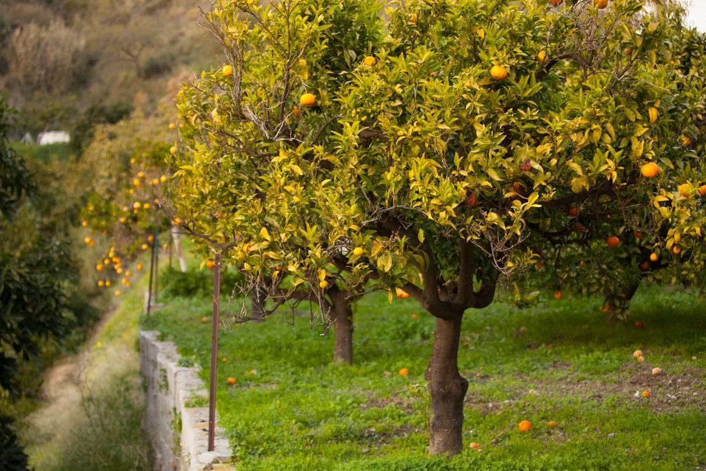 Finca La Herradura Quarto foto
